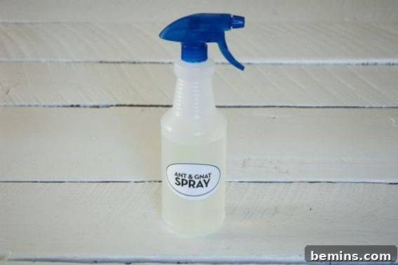 Make Your Own Affordable Natural Garden Pest Control 15 A gardener shaking a spray bottle of homemade ant and gnat repellent, preparing to spray plants