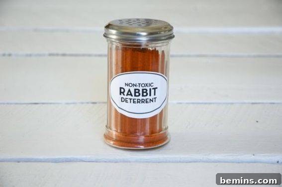 A shaker bottle filled with red cayenne pepper, ready to be used as a bunny deterrent