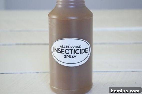 Close up view of ingredients and preparation for a homemade insecticide spray