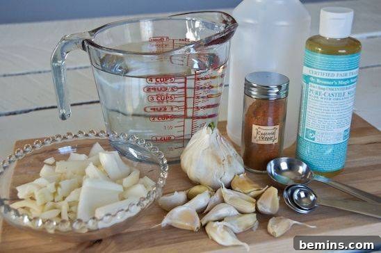 Make Your Own Affordable Natural Garden Pest Control 4 A collection of ingredients including garlic, onion, cayenne pepper, and liquid castile soap for a DIY insecticide