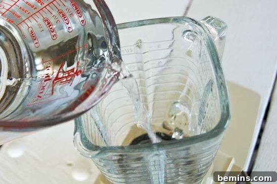 Pouring warm water into a blender as the first step for the insecticide spray