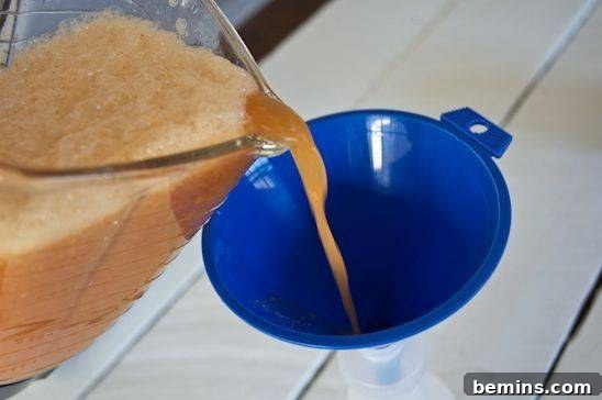 Pouring the blended insecticide mixture through a funnel into a spray bottle