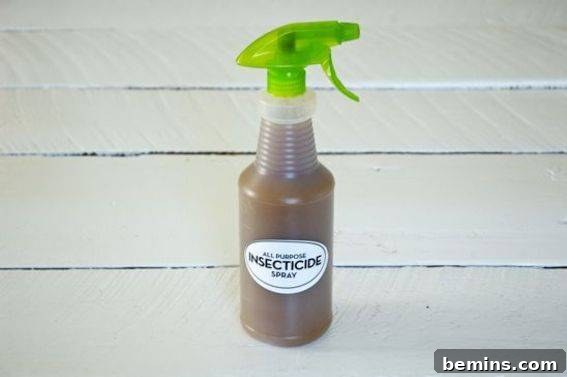 A gardener gently misting plants with a homemade insecticide spray in an outdoor setting