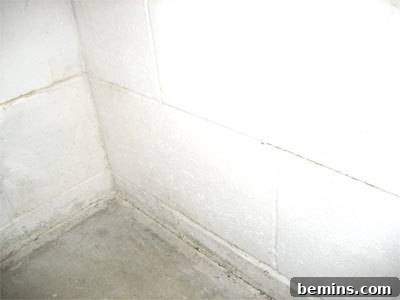 Close-up of tiled wall and concrete floor, potential areas for mold growth.