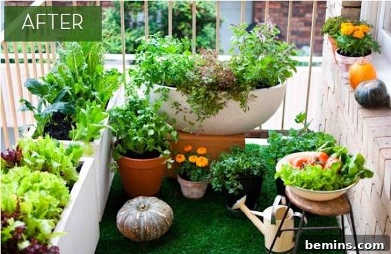 A vegetable garden flourishes on a small backyard balcony, creating an urban oasis.