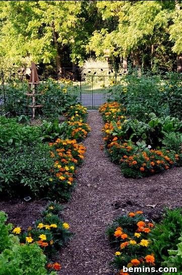 A pathway is adorned with vibrant flowers, creating a visually stunning kitchen garden.