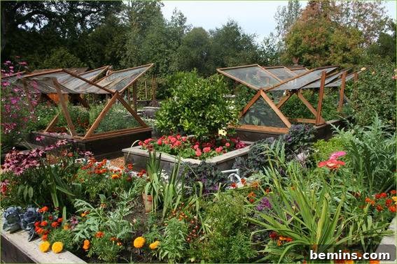 A large garden features diverse flowers and screened frames for pest protection, adding a unique design element.