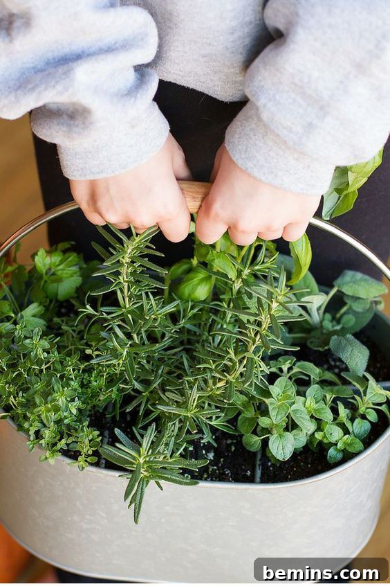 Creative Herb Garden Ideas for Small Spaces