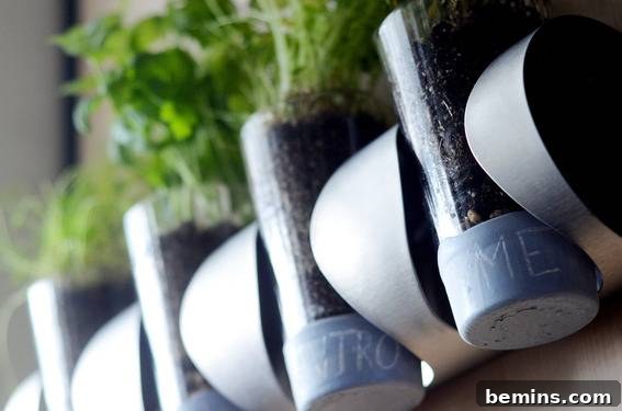 IKEA Herb Garden Hack: Grow Your Own Indoors 7 Herb seedlings in labeled tubes, ready to be placed in the Vurm.