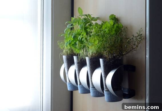 IKEA Herb Garden Hack: Grow Your Own Indoors 9 The completed indoor herb garden, adding a touch of green to the home.