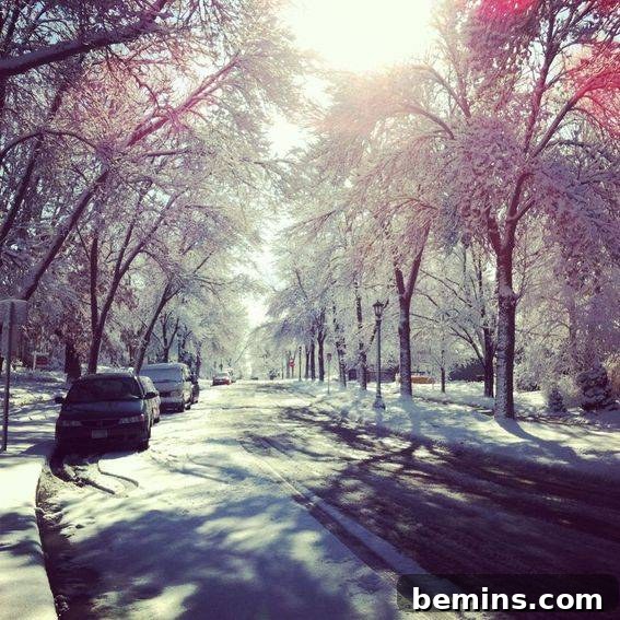 Cars parked on a snow-covered street during winter.