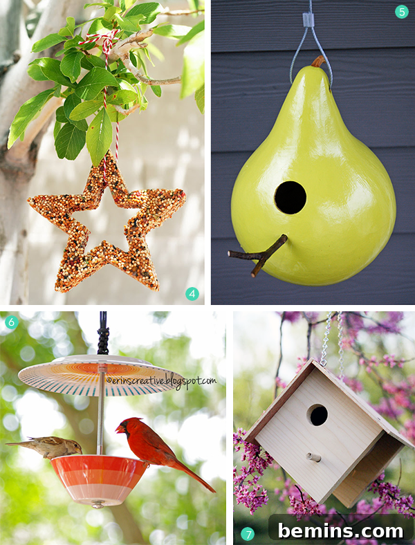 Different types of bird houses