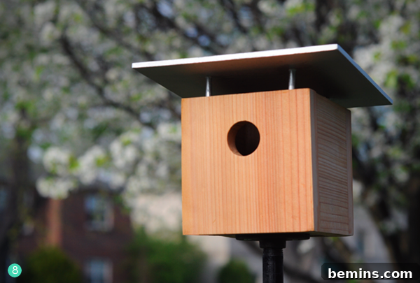 Small square birdhouse on a black metal pole in front of a tree with white flowers on it