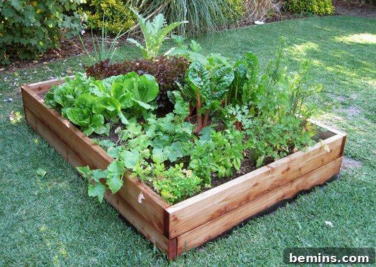 Raised Beds for Easy Gardening and Improved Drainage
