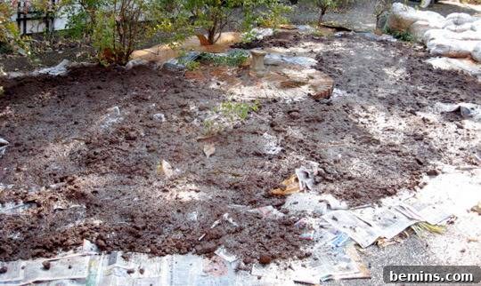Lasagna Beds: A No-Till Gardening Method for Rich Soil