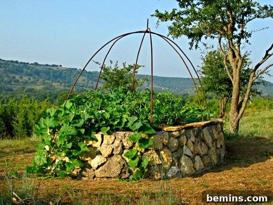 Keyhole Gardens: Maximizing Space and Accessibility