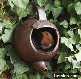 6 Sensational Upcycled Birdhouses
Six Stunning Upcycled Bird Abodes 3 A bird perched in a brown teapot birdhouse surrounded by lush green leaves.