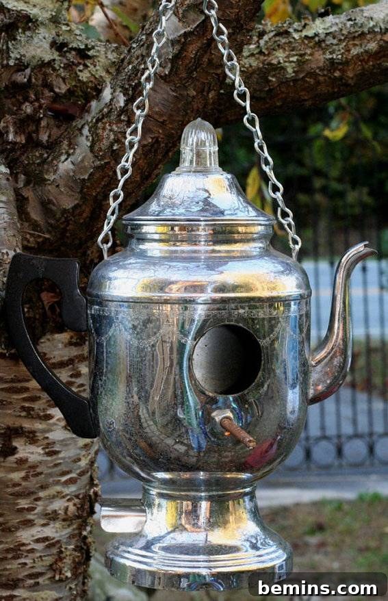 6 Sensational Upcycled Birdhouses
Six Stunning Upcycled Bird Abodes 4 A silver teapot birdhouse hanging from a chain in a tree, creating a whimsical garden accent.