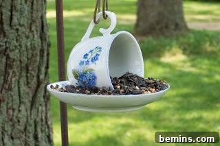 6 Sensational Upcycled Birdhouses
Six Stunning Upcycled Bird Abodes 8 A plate with rocks and a mug hanging next to a tree, serving as a charming and functional bird feeder.