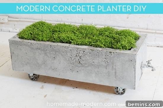 Long, deep, angular planter containing a low-growing plant, a modern concrete planter.