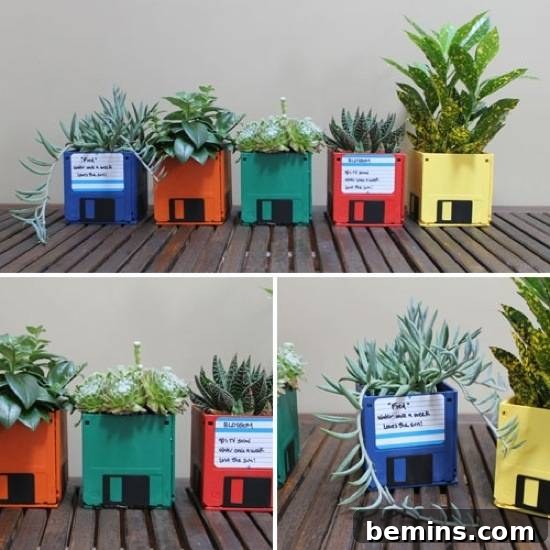 Different plants potted in old computer disks, floppy disk planters for a retro look.
