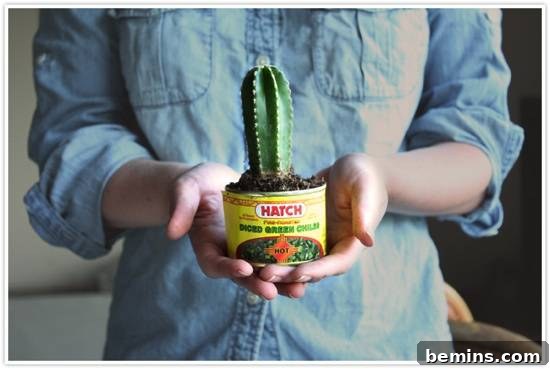 Woman holding a cactus in a green chili can.