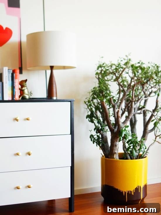 Small dresser adorned with a plant in a stylish brown and yellow drip planter.