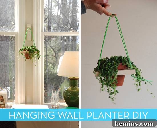 Wall planter both mounted and held, demonstrating a creative way to display plants.