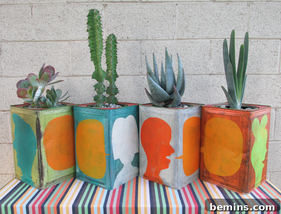 Four plants in hand-painted containers, showing a creative use of painted tins.