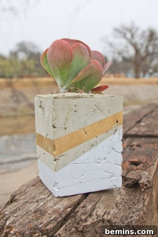 Neutral-colored plant pot sitting on a piece of wood outdoors, a cement planter DIY.