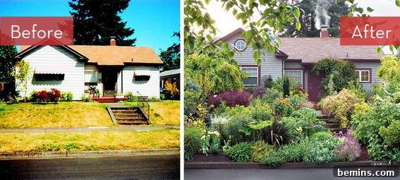 Before and after transformation of a home replacing dead grass with flowers, bushes, and trees.
