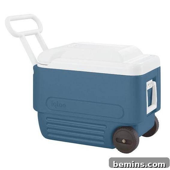 Large blue cooler with black wheels and a white lid sitting on the ground with its white handle sticking up