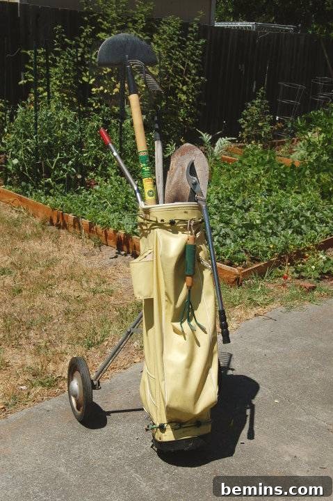 Antique gold bag with golf clubs in it