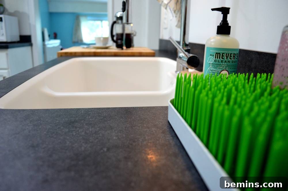 Detail: A pristine white sink with soap and a green brush, set against the dark countertop.