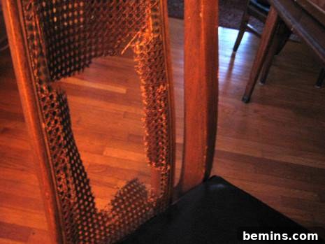 Another close-up showing the detail of the broken caning pattern.