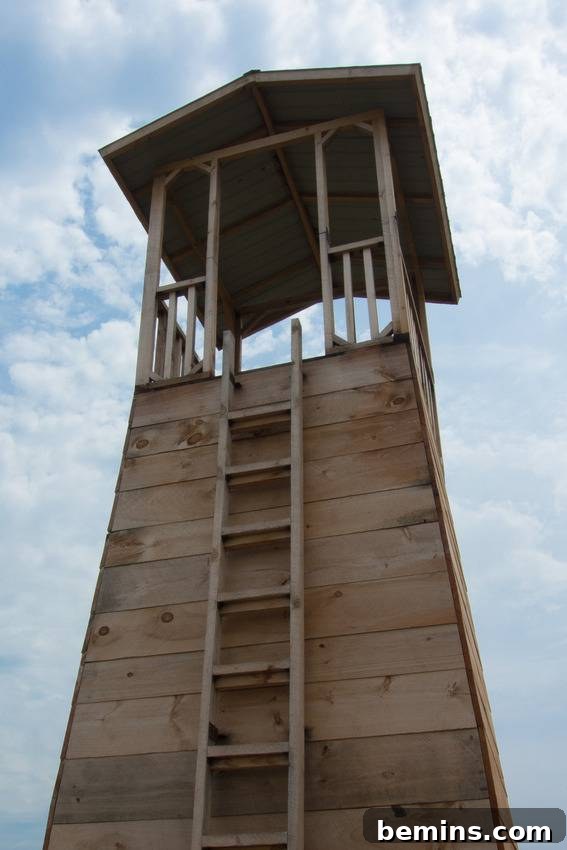 Ascending the wooden tower for breathtaking views at Franconia Sculpture Park