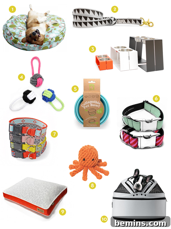 An array of cool and innovative pet products