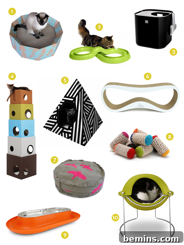 Colorful illustrations of various camping tools