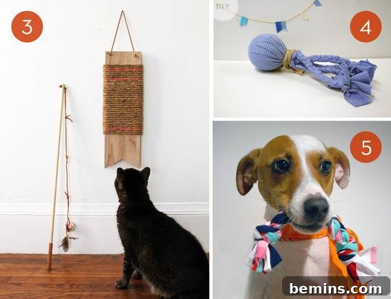 Pet toys in display, both for cats and dogs.