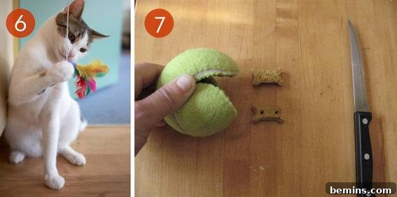 A cat and a tennisball cut open to look like a mouth.