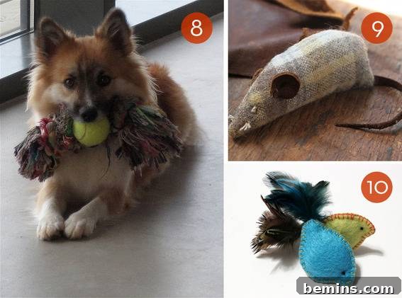 Homemade dog and cat toys, a dog chewing on a toy.