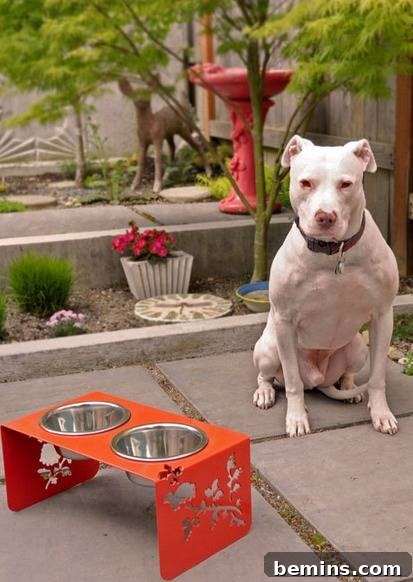 7 Chic Pet Bowls That Elevate Mealtime 4 A dog sits contentedly behind its raised food bowls, which are placed in a raised orange tray.