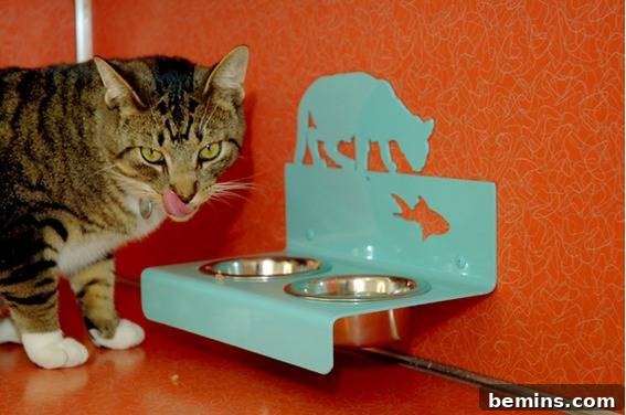 7 Chic Pet Bowls That Elevate Mealtime 5 A stylish cat bowl attached to an orange wall, with a curious cat sitting nearby.