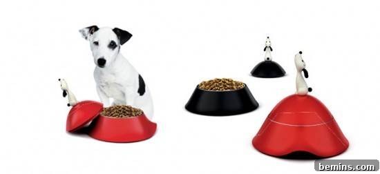 7 Chic Pet Bowls That Elevate Mealtime 6 Give your pets interesting and fun bowls for happy pets.