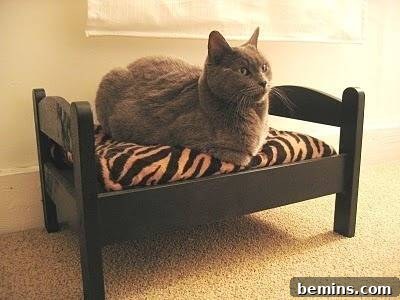 A cat comfortably perched on a piece of furniture creatively repurposed into a unique and stylish cat bed.