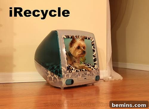 An iMac computer with its electronic parts removed and converted into a comfortable and modern dog bed.