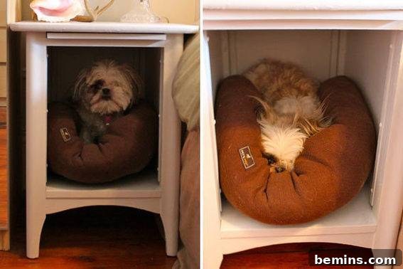A small dog curled up comfortably in a nightstand converted into a cozy and inviting dog bed.