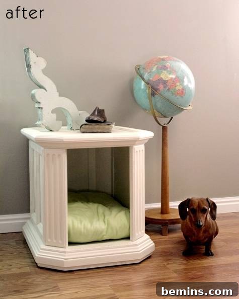 A small dog standing proudly next to its bed, a cleverly repurposed side table that complements the room's aesthetic.