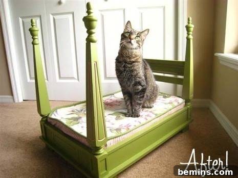 A cat perched comfortably on a litter box designed to resemble an upside-down bed, a quirky and creative pet furniture idea.