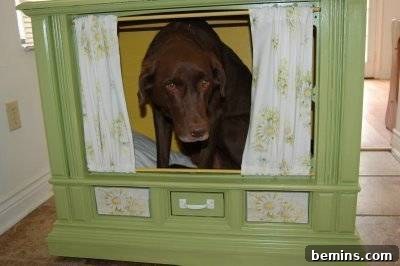A dog contentedly resting inside a repurposed 20th-century TV, its electronic components removed and replaced with a cozy bed.